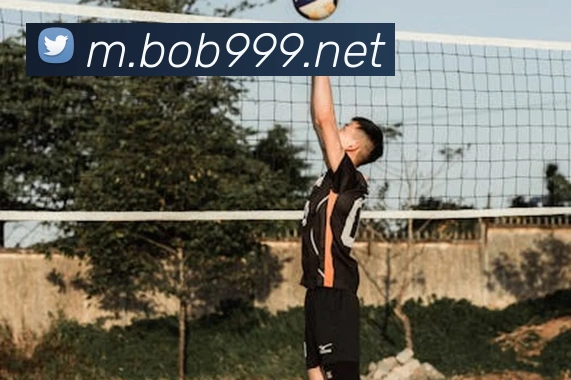 bob体育APP 封面图